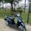 Piaggio Liberty 125cc Rent and Sale